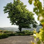 Villa Cascina Otto *