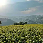 Cascina Otto Cossano Belbo