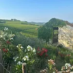Cascina Otto Villa *