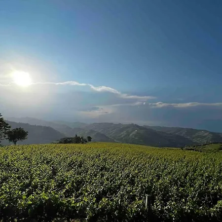 Cascina Otto