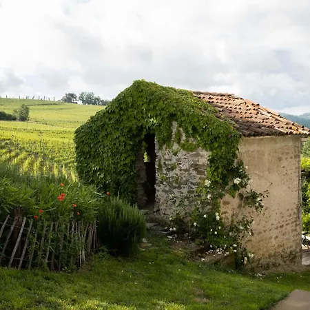 ヴィラ Cascina Otto Cossano Belbo