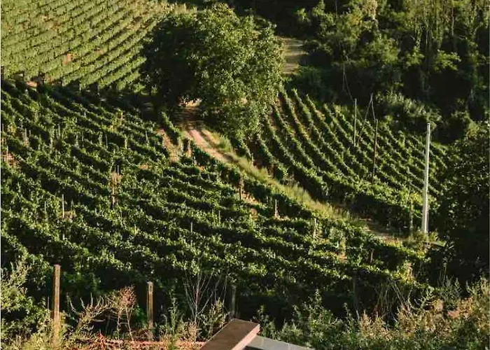Cascina Otto Cossano Belbo