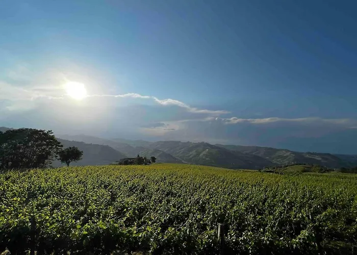Cascina Otto