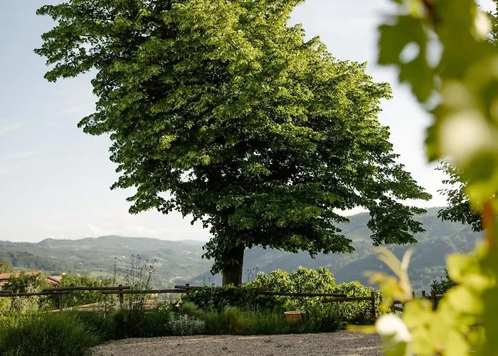 Villa Cascina Otto *