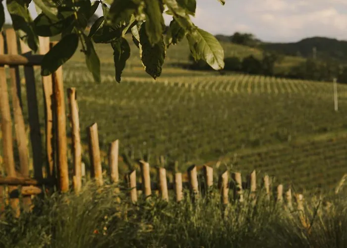 Cascina Otto Willa